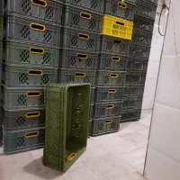 سبد