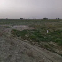 زمین-کشاورزی