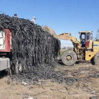 بزرگترین کارخانه خرید نوارتیپ