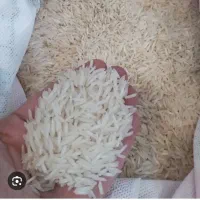 برنج غزال صورتی