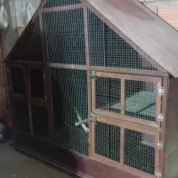 قفس پرنده و سگ