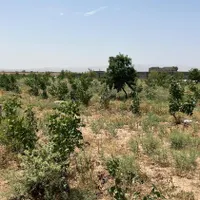 ۵۰۰متر باغ سند تک برگ بی همتا درشهر مامونیه|فروش زمین و ملک کلنگی|تهران, بلوار کشاورز|دیوار