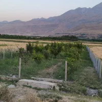 باغ-روستای-محمد-آباد-با-آب-فراوان