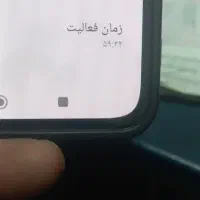 11  شیامی11 بدون خط و خش