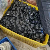 فروش لوازم فروشگاه لباس به علت تغییر شغل