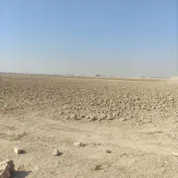 زمین-مخصوص-سردخانه