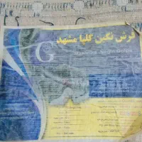 4500000|فرش|زاهدان, |دیوار
