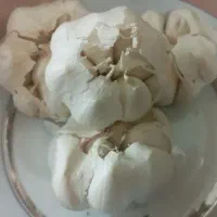 سیر بومی