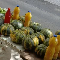 کدومحلی تازه