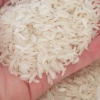 برنج ایرانی