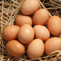 فروش تخم مرغ محلی