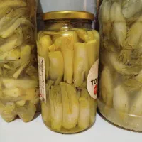 ترشی بیلهر
