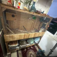 قفس پرنده  زیبا و شیک