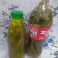خیار شور