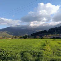 همراهی در کارهای روزمره