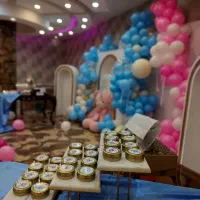 ستون بادکنک ( اقتصادی و vip )