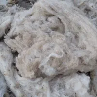 پشم گوسفند|صنایع دستی و سایر لوازم تزئینی|اردبیل, |دیوار