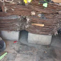 سیم کشاورزی