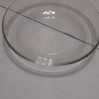 خورش خوری پیرکس