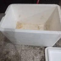 آکاسیف یخ