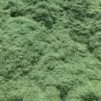 یونجه