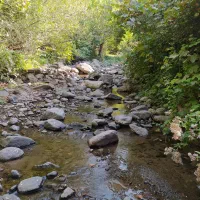 خط تلفن ثابت