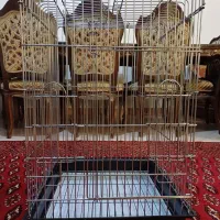 قفس استیل ضخیم کاسکوئی