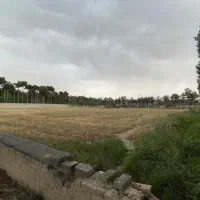 زمین ۱۶۹۲ متری در مجتمع باغ ویلای‌ زیبادشت‌ مرکزی