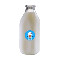 شیر گاو محلی