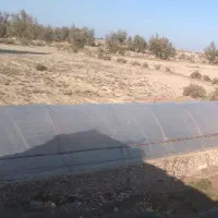 گلخانه