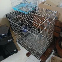 قفس کاسکو