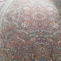 فروشی|فرش|بوژگان, |دیوار