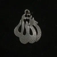 پلاک وگوشواره نقره