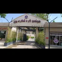 استخدام نیرو در گردشگری