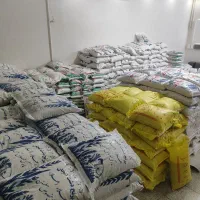 برنج کامفیروز لنجان چمپا فجر طارم عنبربو