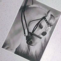 طراحی و نقاشی