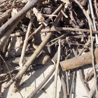 فروش چوب هیزمی