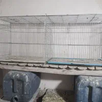 قفس جوجه پران