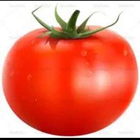 ابگوجه گیری