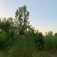 زمین-250متری-مسکونی