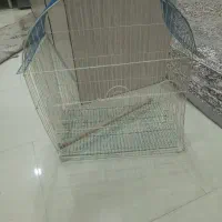 قفس پرنده