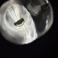 نیازمند یک شاگرد برای تراشکاری