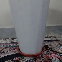گلدان|گل و گیاه طبیعی|پیشوا, |دیوار