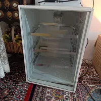 دستگاه جوجه کشی