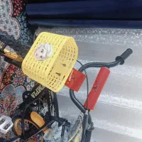 5عدد دوچرخه