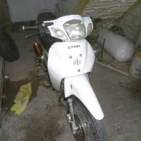 بیکلاچ دینو مدل۸۷