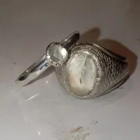 یک جفت نر و ماده در نجف قدیمی