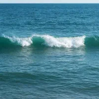 آموزش تخصصی شنا
