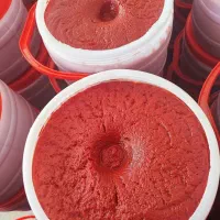 فروش عمده رب گوجه