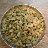 هل ممتاز اکبر بنفش
